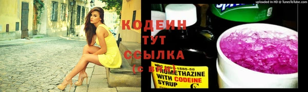PSILOCYBIN Балабаново