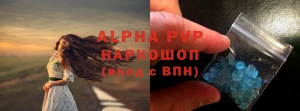 PSILOCYBIN Балабаново