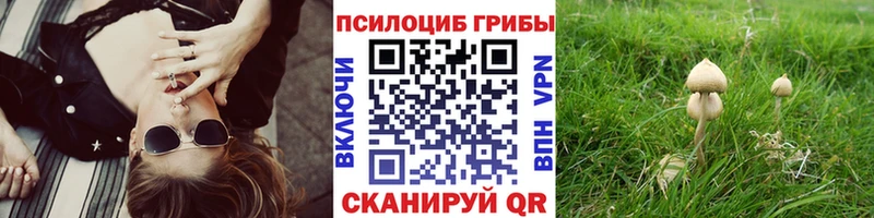 даркнет сайт  МЕГА вход  Галлюциногенные грибы Cubensis  Кущёвская 